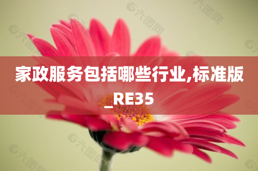 家政服务包括哪些行业,标准版_RE35