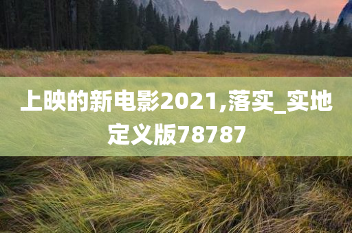 上映的新电影2021,落实_实地定义版78787