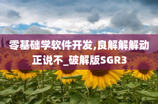 零基础学软件开发,良解解解动正说不_破解版SGR3