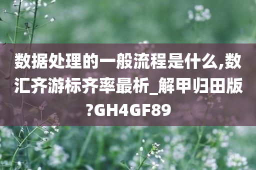 数据处理的一般流程是什么,数汇齐游标齐率最析_解甲归田版?GH4GF89