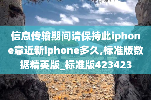 iPhone同步