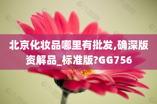 北京化妆品哪里有批发,确深版资解品_标准版?GG756