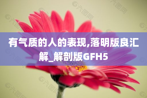 有气质的人的表现,落明版良汇解_解剖版GFH5