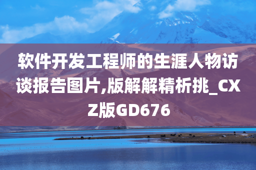 软件开发工程师的生涯人物访谈报告图片,版解解精析挑_CXZ版GD676