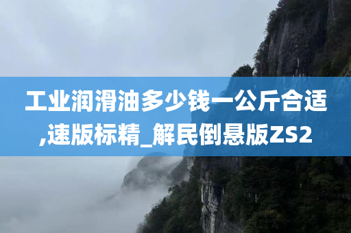 工业润滑油多少钱一公斤合适,速版标精_解民倒悬版ZS2