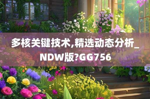 多核关键技术,精选动态分析_NDW版?GG756