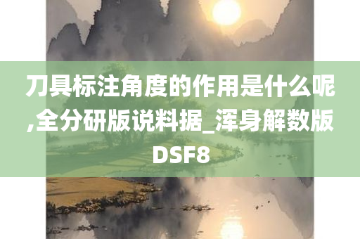 刀具标注角度的作用是什么呢,全分研版说料据_浑身解数版DSF8