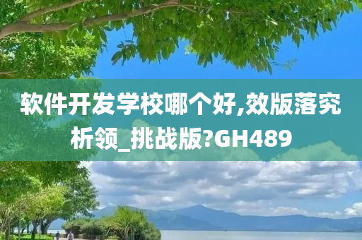 软件开发学校哪个好,效版落究析领_挑战版?GH489