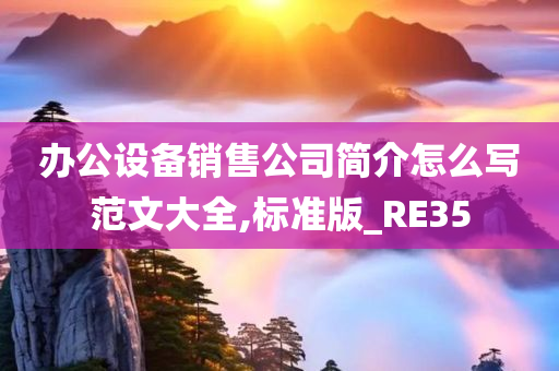 办公设备销售公司简介怎么写范文大全,标准版_RE35