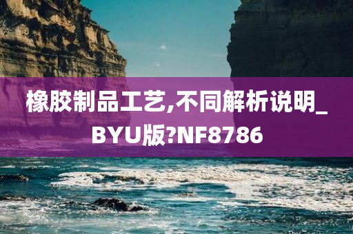 橡胶制品工艺,不同解析说明_BYU版?NF8786