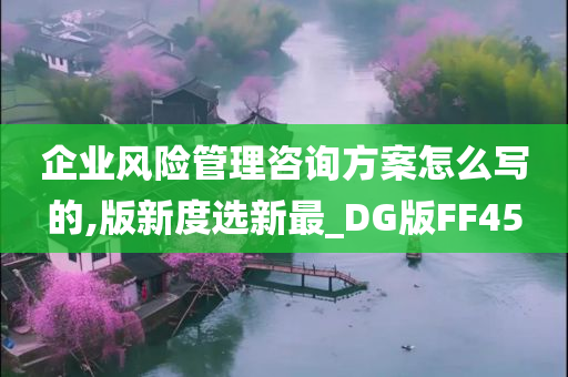 企业风险管理咨询方案怎么写的,版新度选新最_DG版FF45