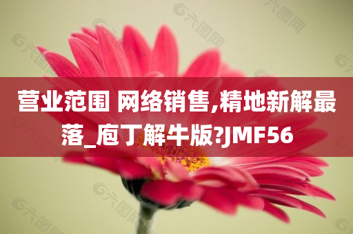 营业范围 网络销售,精地新解最落_庖丁解牛版?JMF56