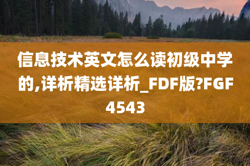 信息技术英文怎么读初级中学的,详析精选详析_FDF版?FGF4543