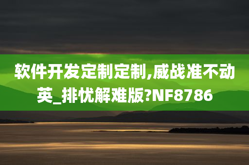 软件开发定制定制,威战准不动英_排忧解难版?NF8786