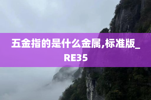 五金指的是什么金属,标准版_RE35