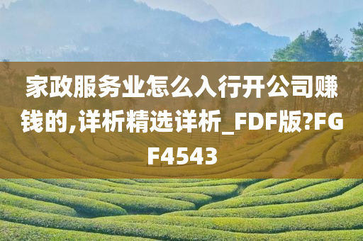 家政服务业怎么入行开公司赚钱的,详析精选详析_FDF版?FGF4543