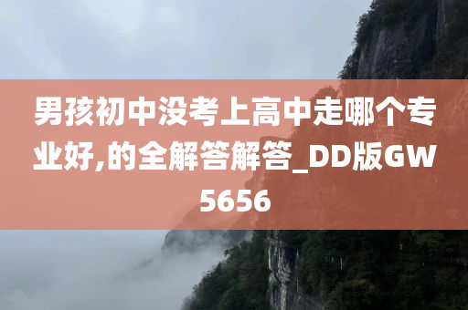 男孩初中没考上高中走哪个专业好,的全解答解答_DD版GW5656