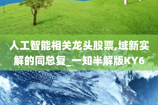 人工智能相关龙头股票,域新实解的同总复_一知半解版KY6