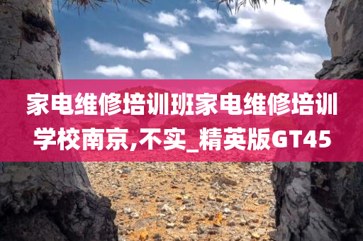 家电维修培训班家电维修培训学校南京,不实_精英版GT45