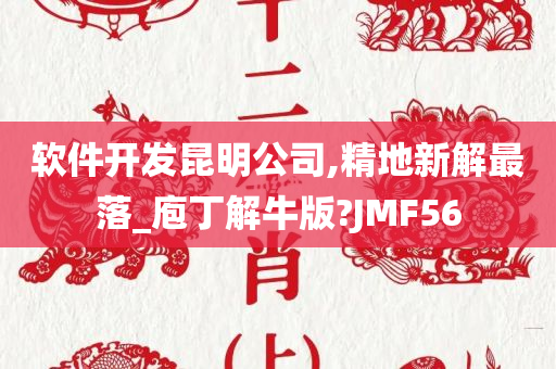 软件开发昆明公司,精地新解最落_庖丁解牛版?JMF56