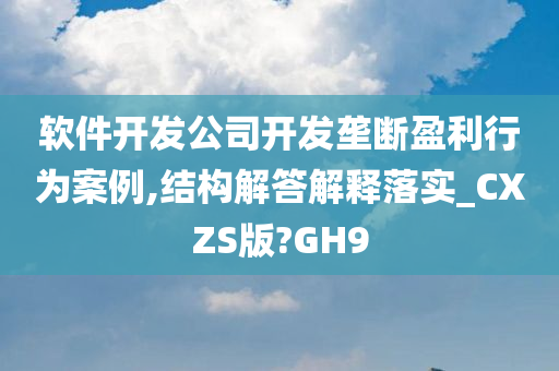 软件开发公司开发垄断盈利行为案例,结构解答解释落实_CXZS版?GH9