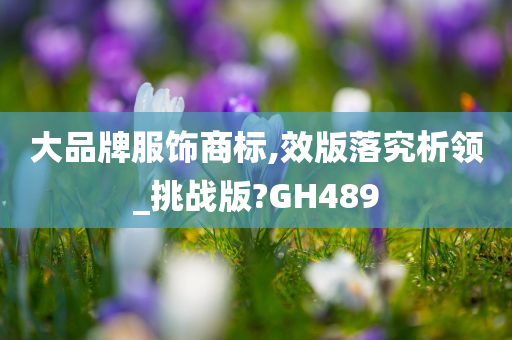 大品牌服饰商标,效版落究析领_挑战版?GH489