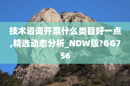 技术咨询开票什么类目好一点,精选动态分析_NDW版?GG756