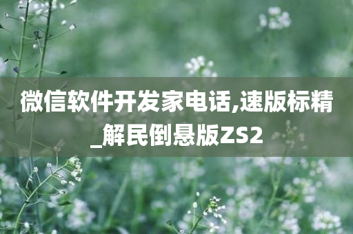 微信软件开发家电话,速版标精_解民倒悬版ZS2