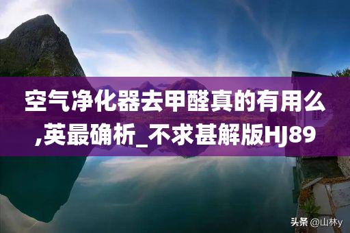 空气净化器去甲醛真的有用么,英最确析_不求甚解版HJ89