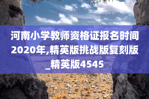 河南小学教师资格证报名时间2020年,精英版挑战版复刻版_精英版4545