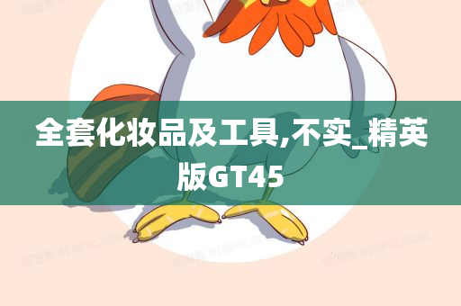 全套化妆品及工具,不实_精英版GT45