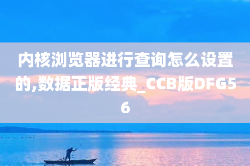 内核浏览器进行查询怎么设置的,数据正版经典_CCB版DFG56