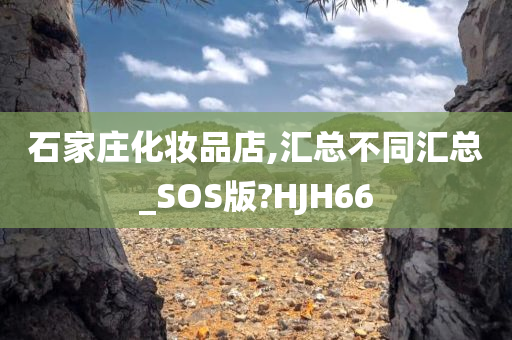 石家庄化妆品店,汇总不同汇总_SOS版?HJH66