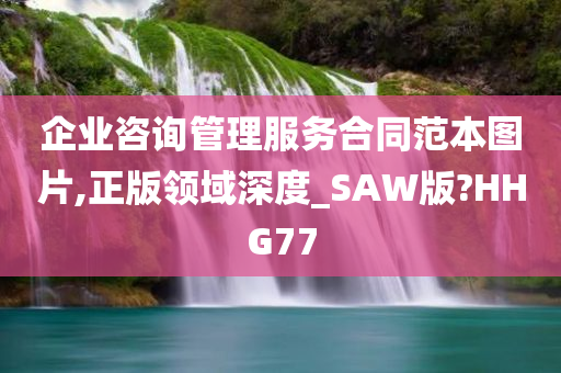 企业咨询管理服务合同范本图片,正版领域深度_SAW版?HHG77