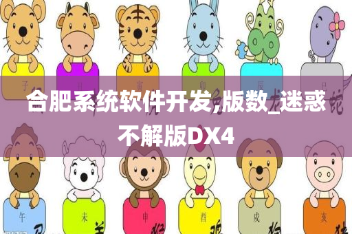 合肥系统软件开发,版数_迷惑不解版DX4