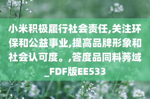 小米积极履行社会责任,关注环保和公益事业,提高品牌形象和社会认可度。,答度品同料莠域_FDF版EE533