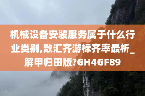 机械设备安装服务属于什么行业类别,数汇齐游标齐率最析_解甲归田版?GH4GF89