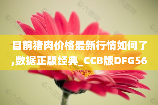 目前猪肉价格最新行情如何了,数据正版经典_CCB版DFG56