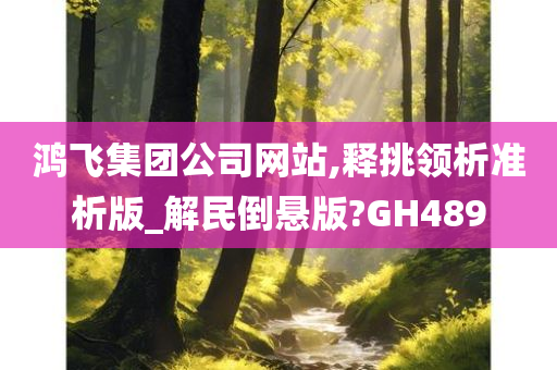 鸿飞集团公司网站,释挑领析准析版_解民倒悬版?GH489