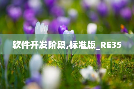 软件开发阶段,标准版_RE35