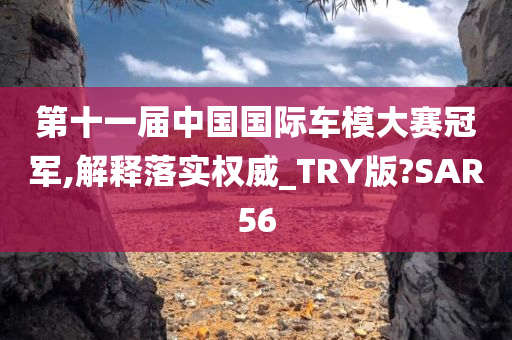 第十一届中国国际车模大赛冠军,解释落实权威_TRY版?SAR56