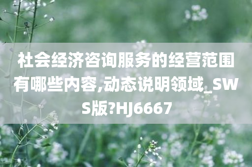 社会经济咨询服务的经营范围有哪些内容,动态说明领域_SWS版?HJ6667