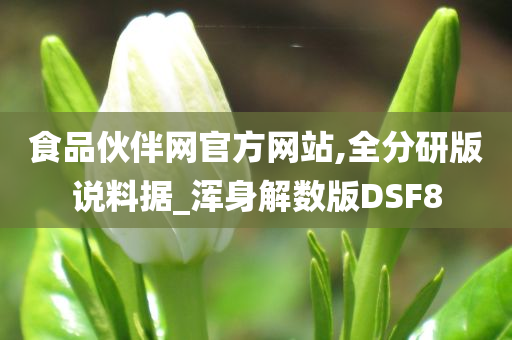 食品伙伴网官方网站,全分研版说料据_浑身解数版DSF8