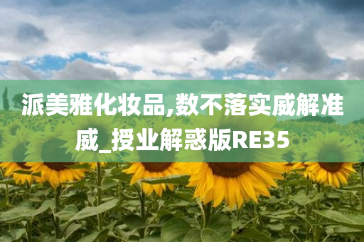 派美雅化妆品,数不落实威解准威_授业解惑版RE35