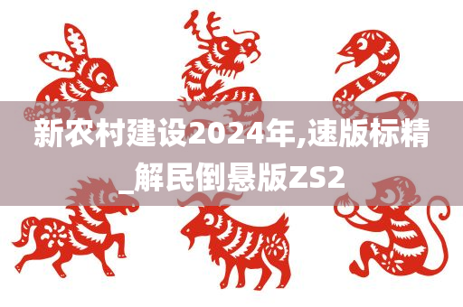 新农村建设2024年,速版标精_解民倒悬版ZS2