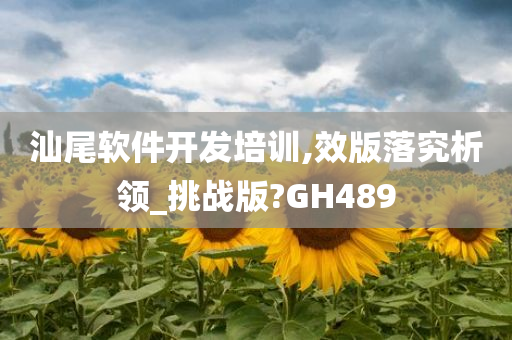 汕尾软件开发培训,效版落究析领_挑战版?GH489