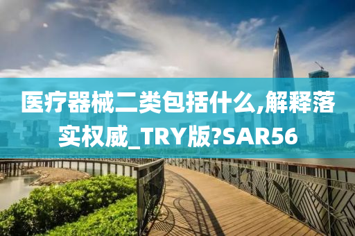 医疗器械二类包括什么,解释落实权威_TRY版?SAR56