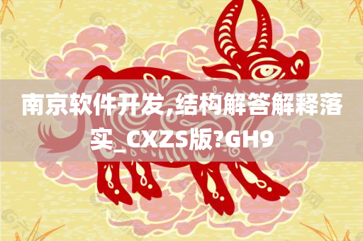 南京软件开发,结构解答解释落实_CXZS版?GH9