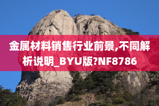 金属材料销售行业前景,不同解析说明_BYU版?NF8786