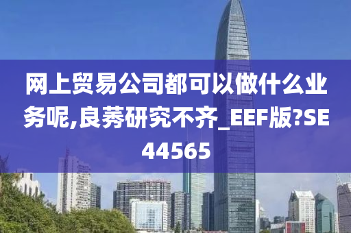 网上贸易公司都可以做什么业务呢,良莠研究不齐_EEF版?SE44565